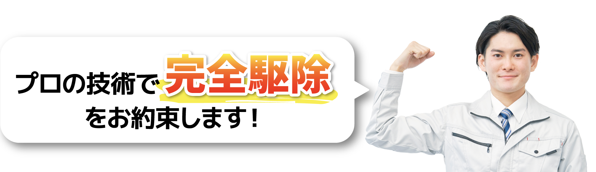 プロの技術で完全駆除をお約束します！