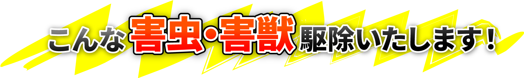 こんな害虫・害獣駆除いたします！