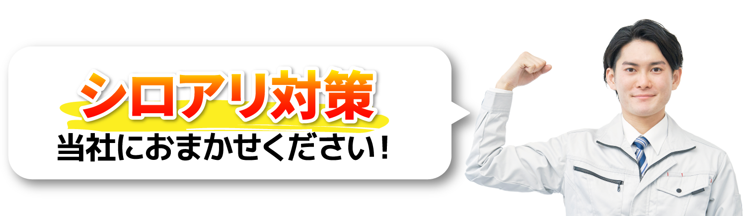 シロアリ対策当社におまかせください